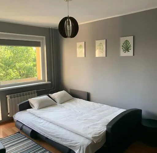 Appartement Quiet And Comfortable With Parking For A For Two, One Or A Couple Guests With A Child